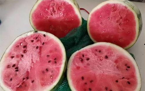 孕妇吃麒麟瓜,麒麟瓜助力母婴健康 第2张 孕妇吃麒麟瓜,麒麟瓜助力母婴健康 第2张